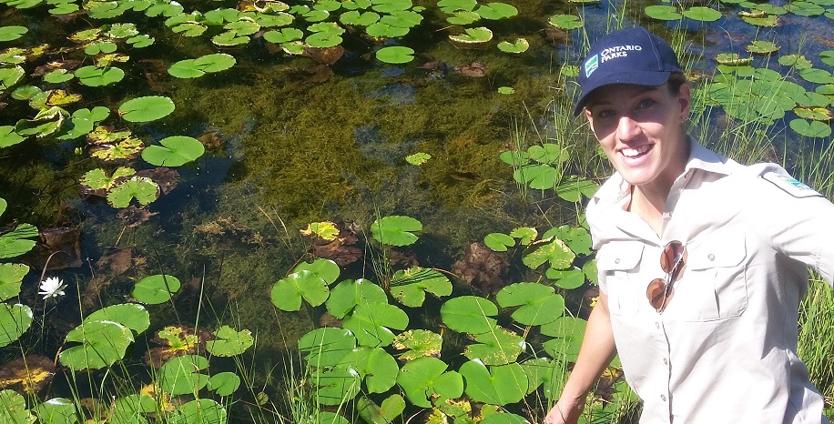 staff in front of wetland