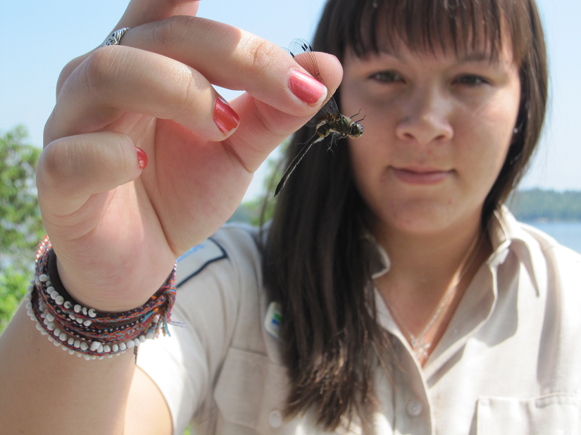 staff holding dragonfly