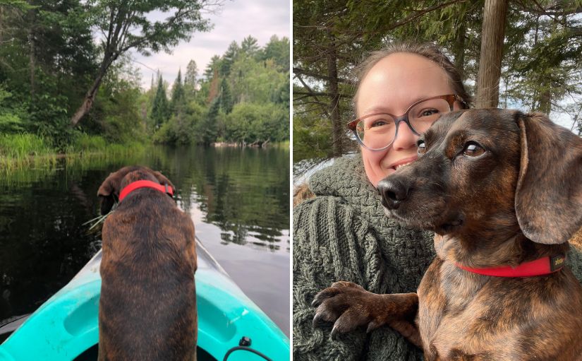 collage of dog on kayak, dog in person's arms