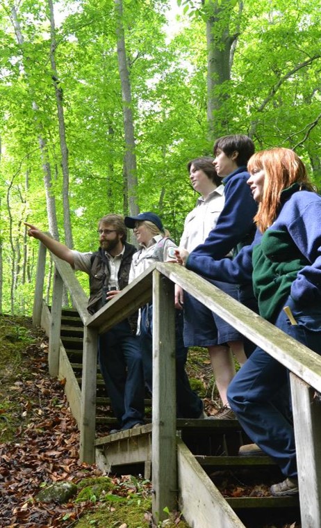 group of staff standing on wooden stairs in park