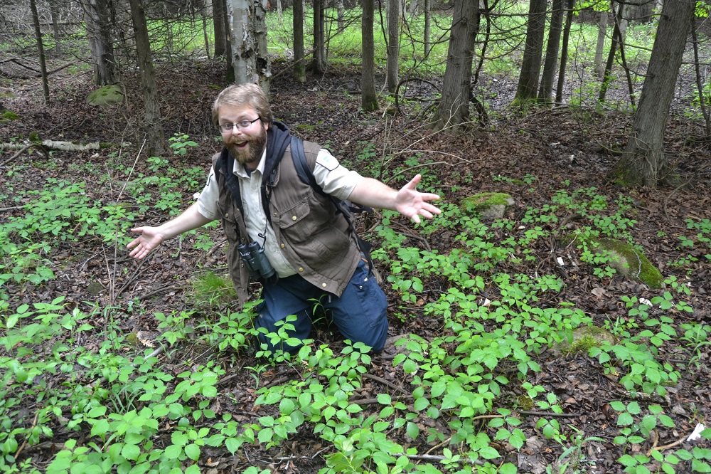 Matt grinning while kneeling on the forest floor among green plants