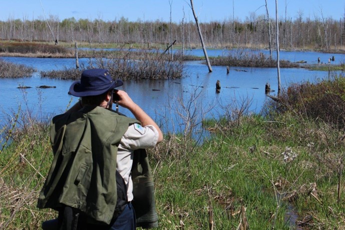 staff holding binoculars, looking out at wetland