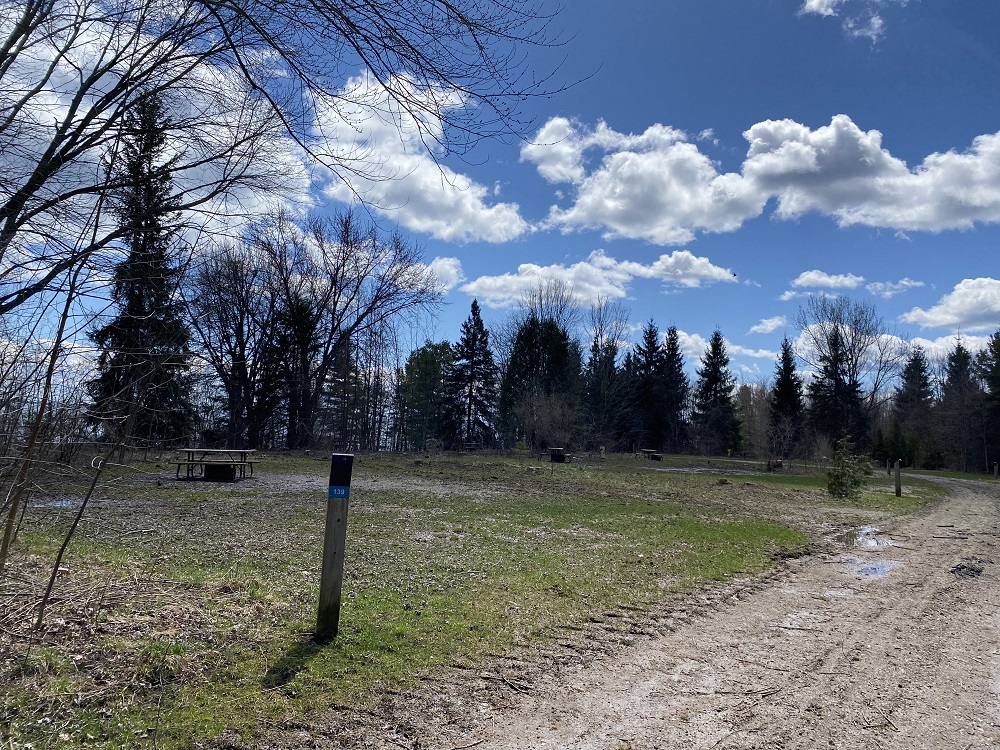 view of campsite after cutting