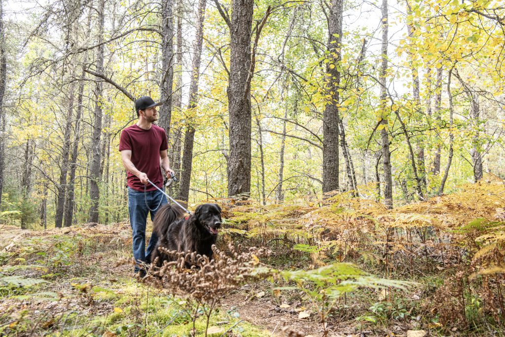 man walking dog through forest with fall colours
