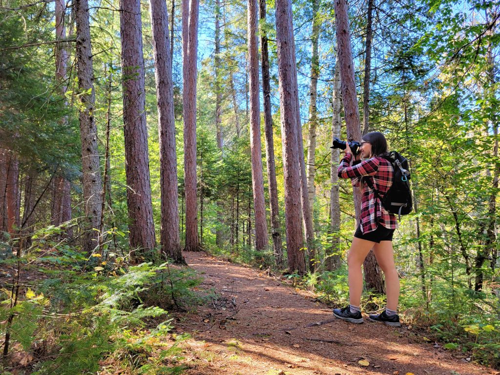 woman using DSLR to take photo in forest