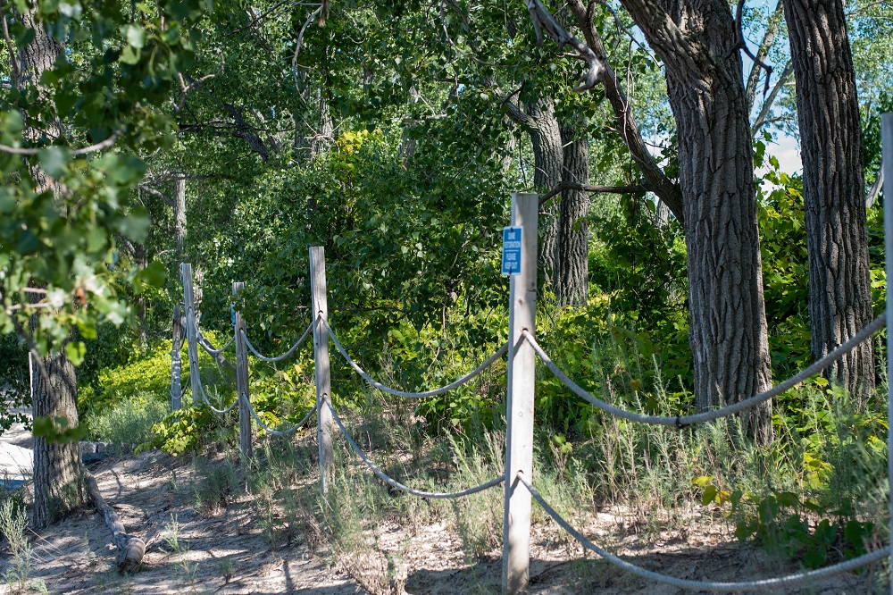 posts with rope connection along trail