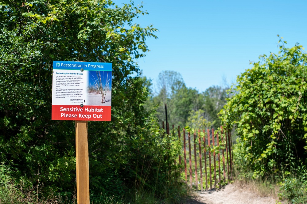 Dune restoration sign in front of vegetation and fencing