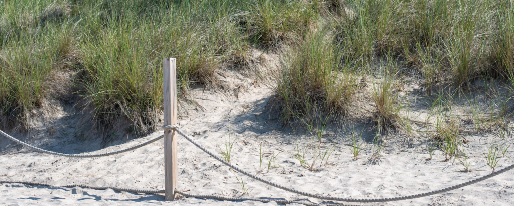A social trail through a sand dune behind a post and rope fence