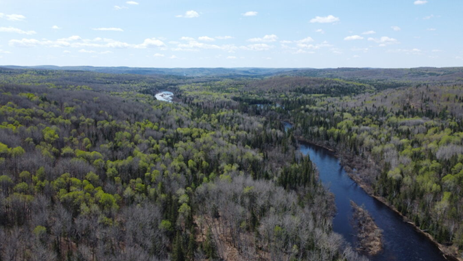 aerial view of lakes and trees