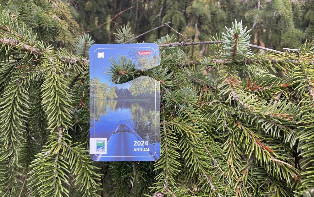 seasonal permit hanging on tree