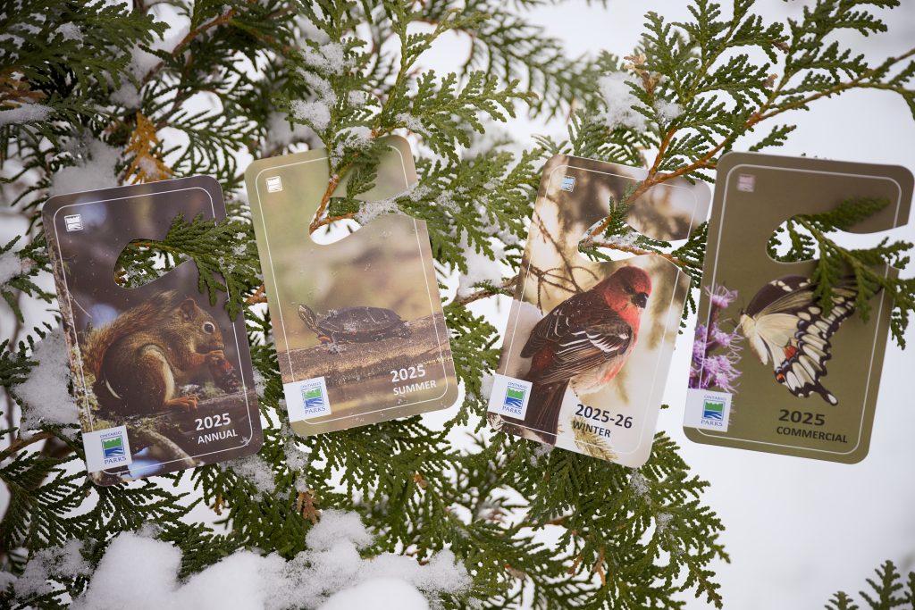 Four different 2025 seasonal permits on a snowy coniferous bough