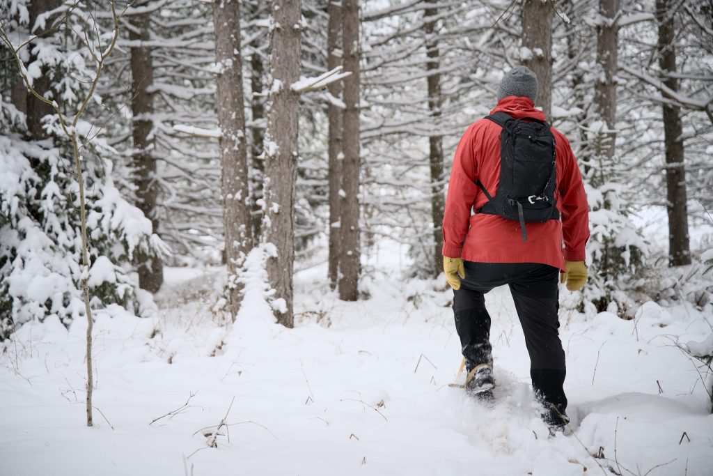 A person snowshoeing through a snowy forest