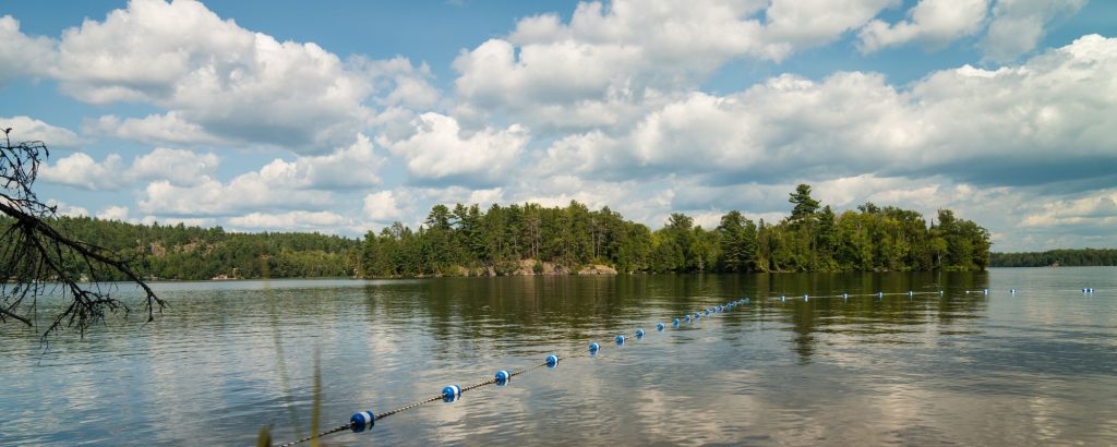 buoyed area in lake surrounded by forest