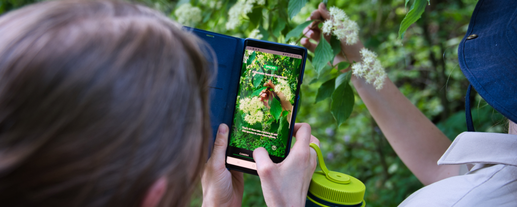 Two people using a phone to take a photo of a plant