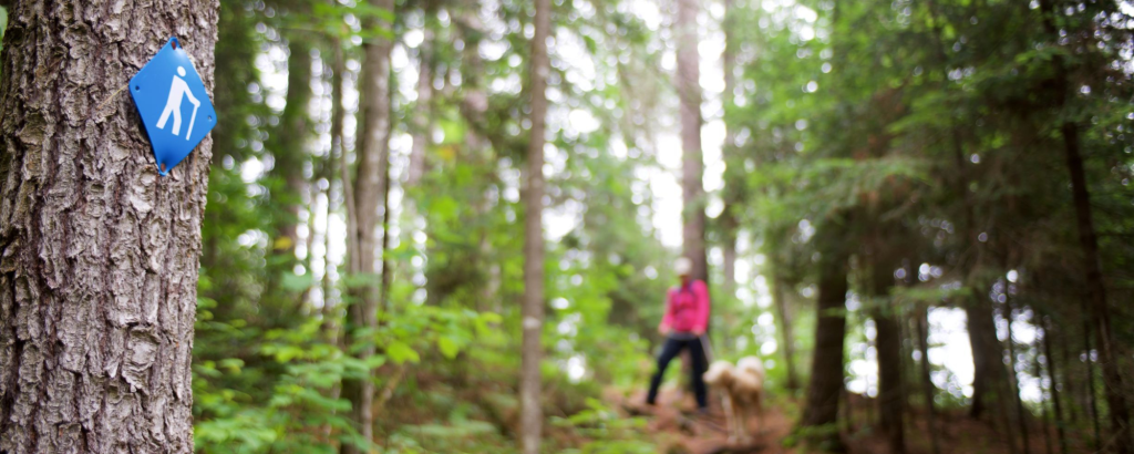 hiker following trail sign