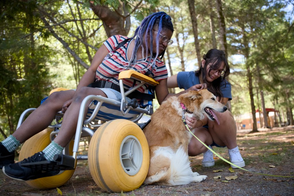 person in all-terrain wheelchair petting dog
