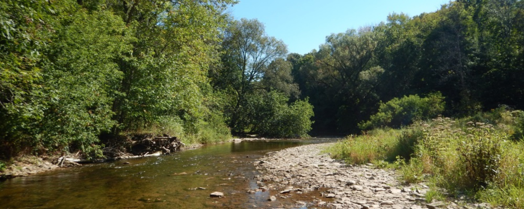 A creek with a forest on one side and a field on the other