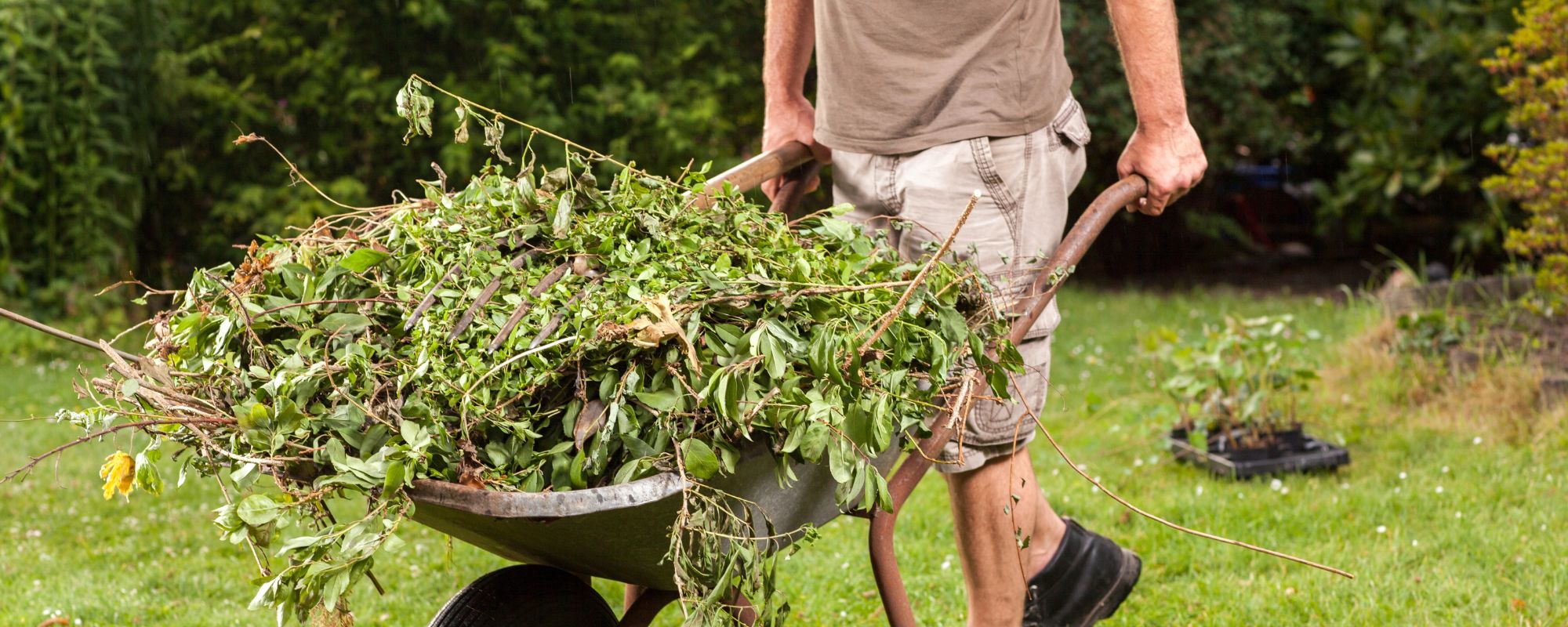 person moving yard waste in wheelbarrow