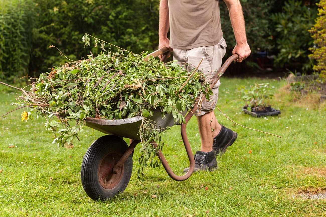 person holding wheelbarrow moving yard waste
