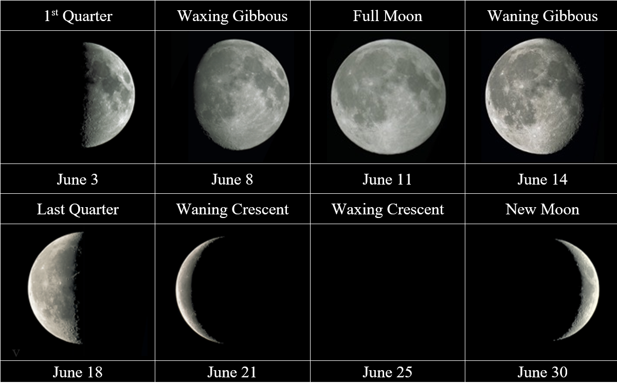 lunar phases of the moon