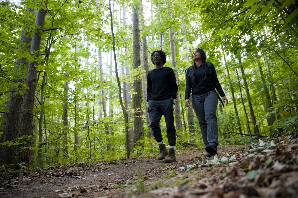two people walking through forest