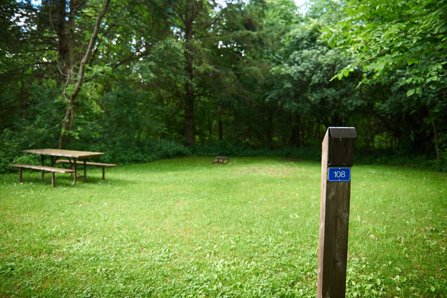 Green campsite with a picnic table and campsite post