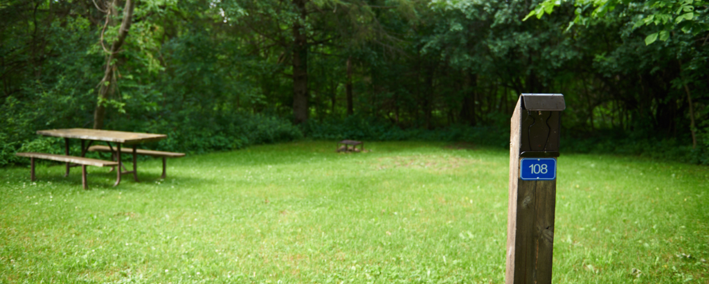 Green campsite with a picnic table and campsite post