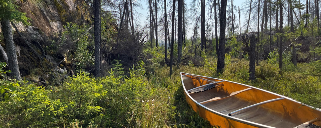 canoe on green landscape