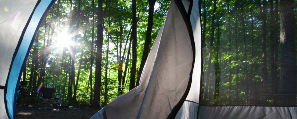 Inside of tent looking into forest with sunshine
