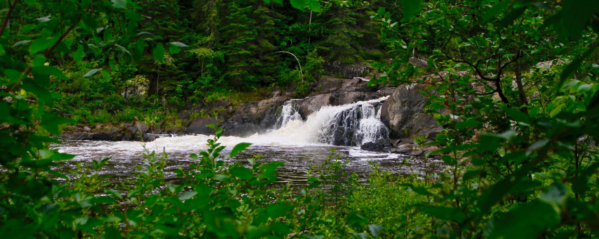 view of falls through vegetation
