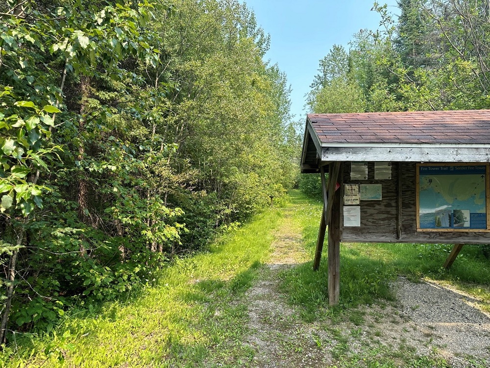 Point de départ d’un sentier en forêt, par une journée ensoleillée