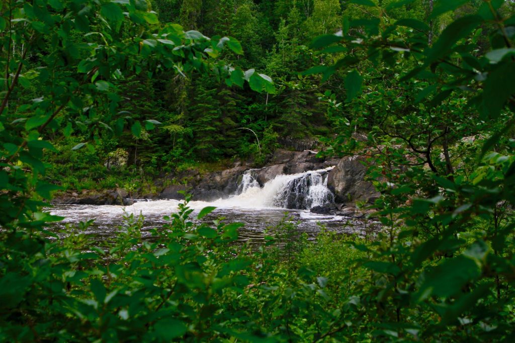 view of falls through vegetation