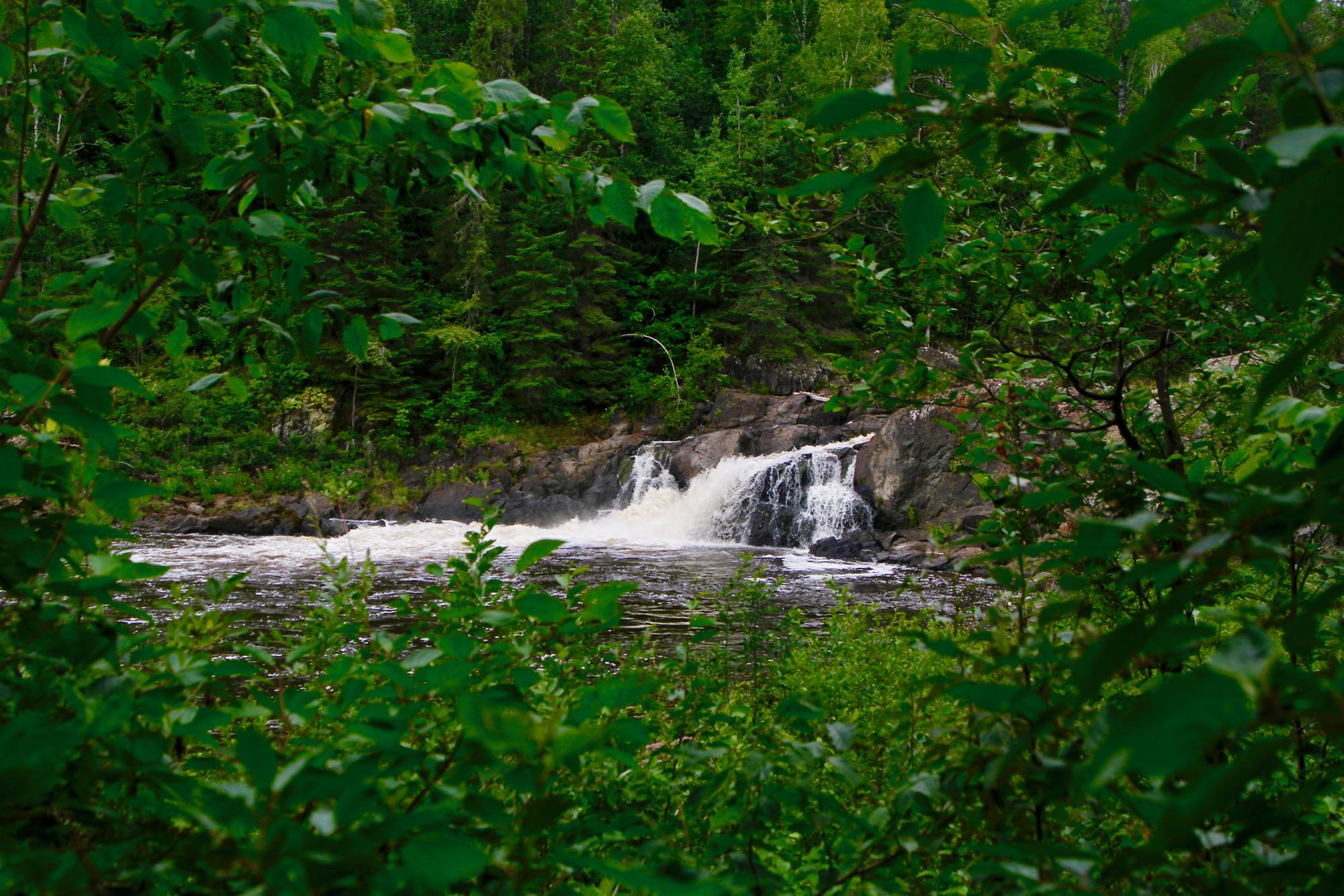 view of falls through vegetation