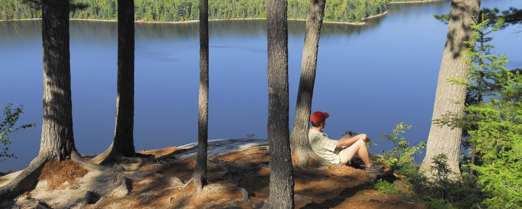 View of a lake through trees from a lookout, with a person sitting against a tree