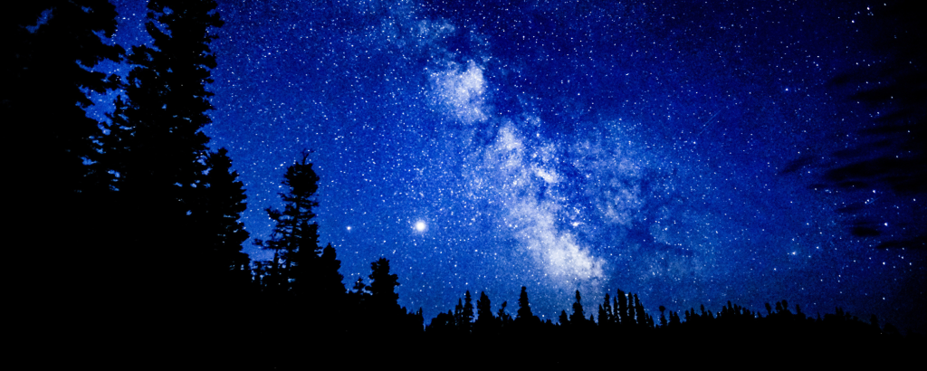 Stars over the trees in a dark sky.