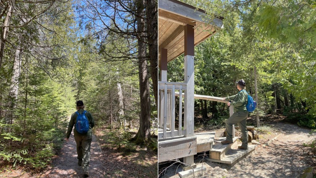Left: person walking along forested trail. Right: person walking up wooden steps to gazebo