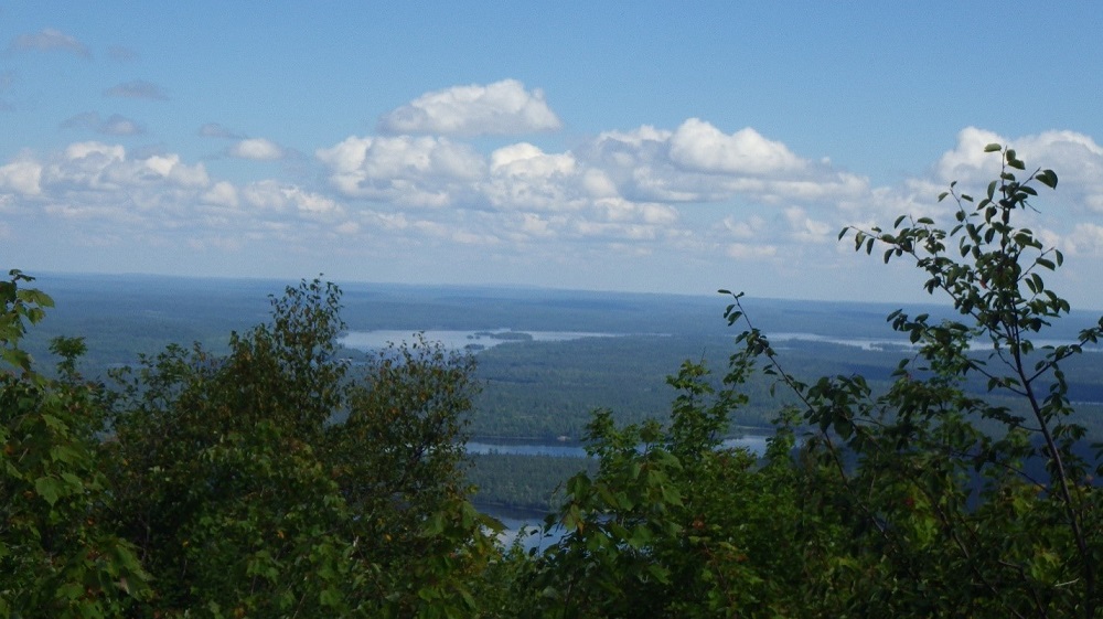 Vue sur des lacs et une forêt, à partir d’un belvédère forestier