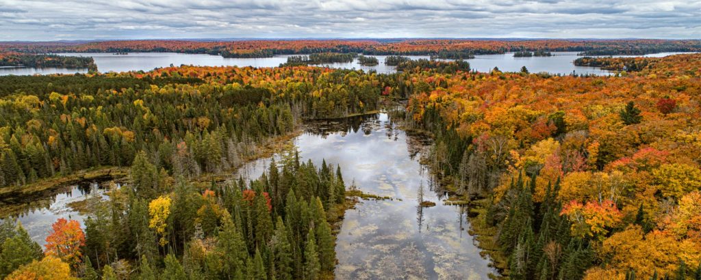 fall vista of forests and lakes