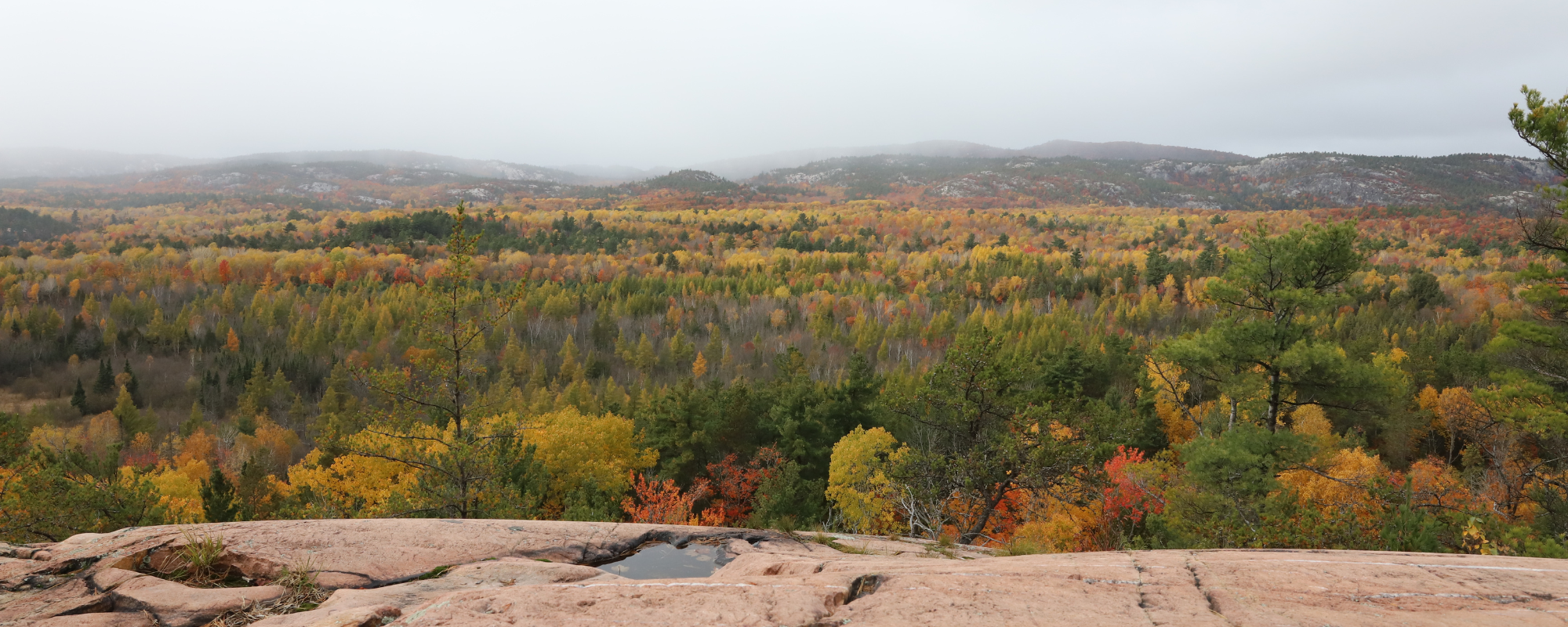 Fall colours from Granite Ridge Trail lookout in Killarney Provincial Park.