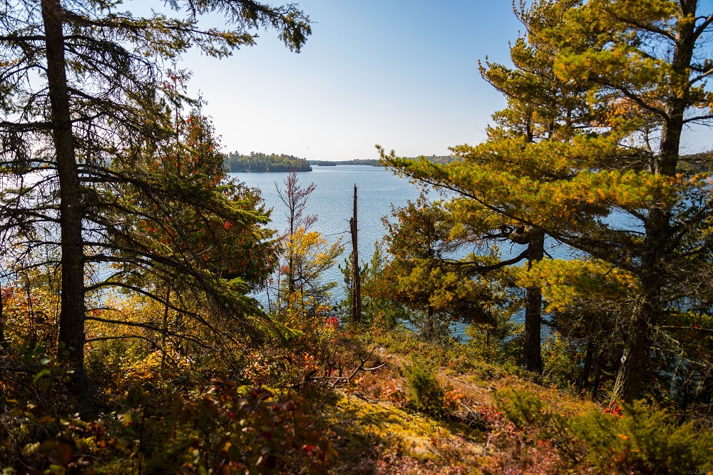 cliff with fall colours overlooking water