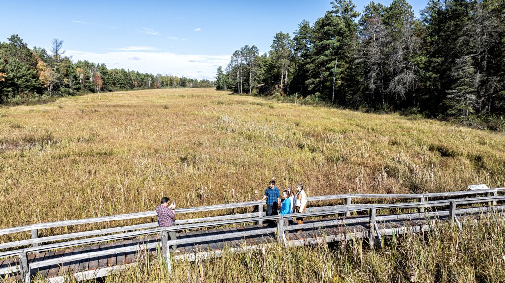 aerial view of boardwalk through wetland