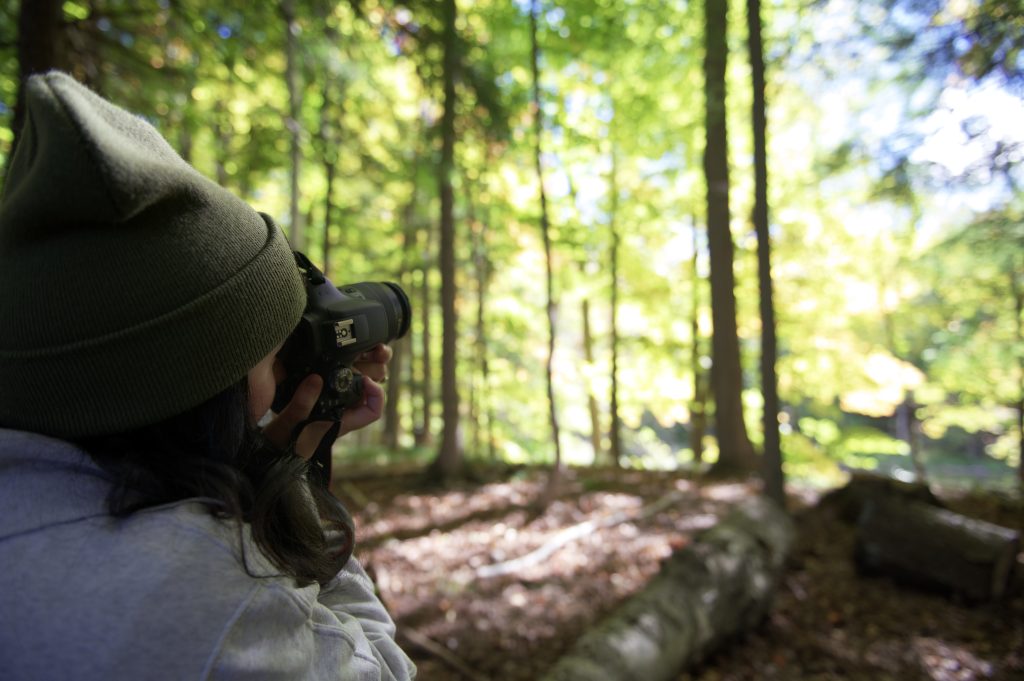 person taking photo in forest