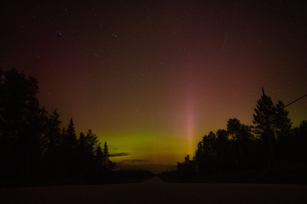 Green and red northern lights over forest
