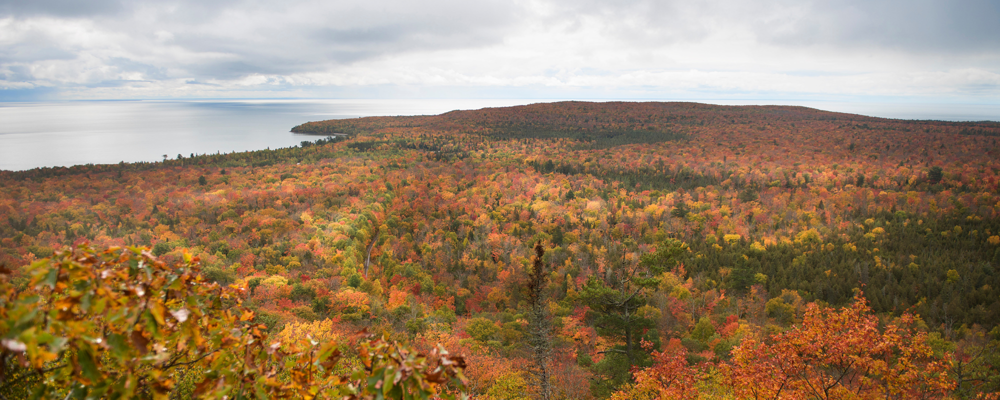 Vista of fall colours.
