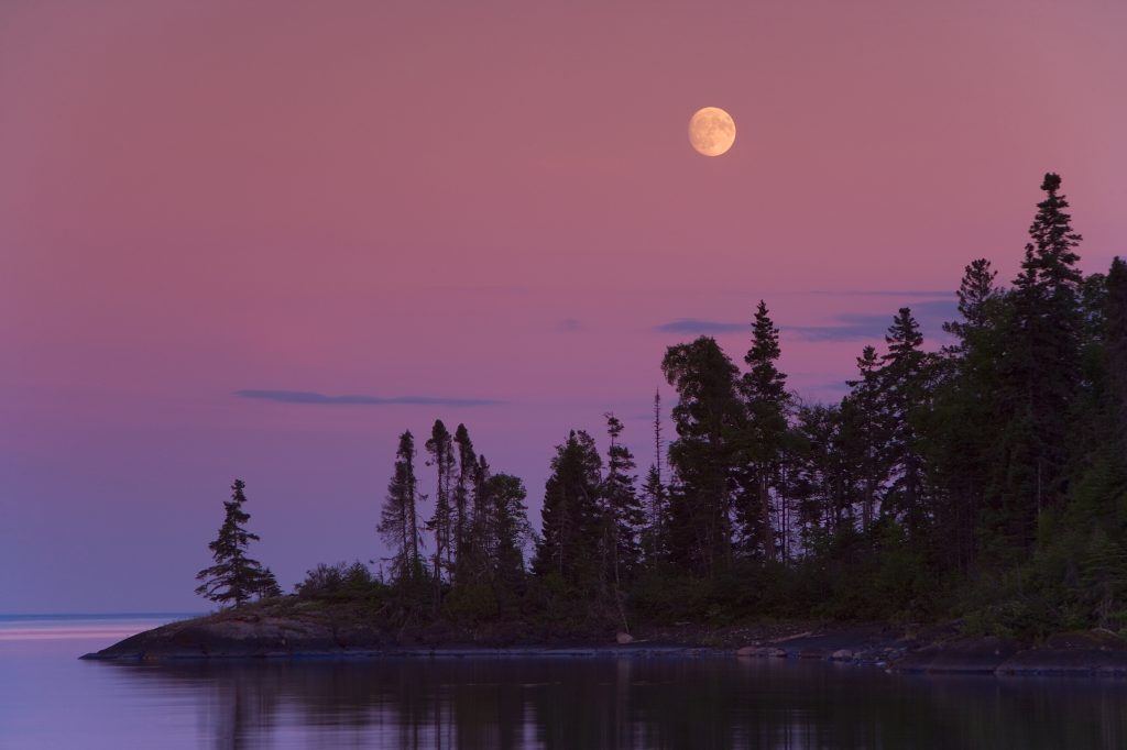 forested shore with moon overhead. Sky is coloured purple and pink