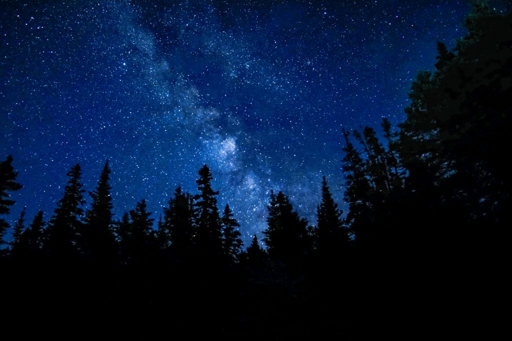Milky Way over evergreen forest