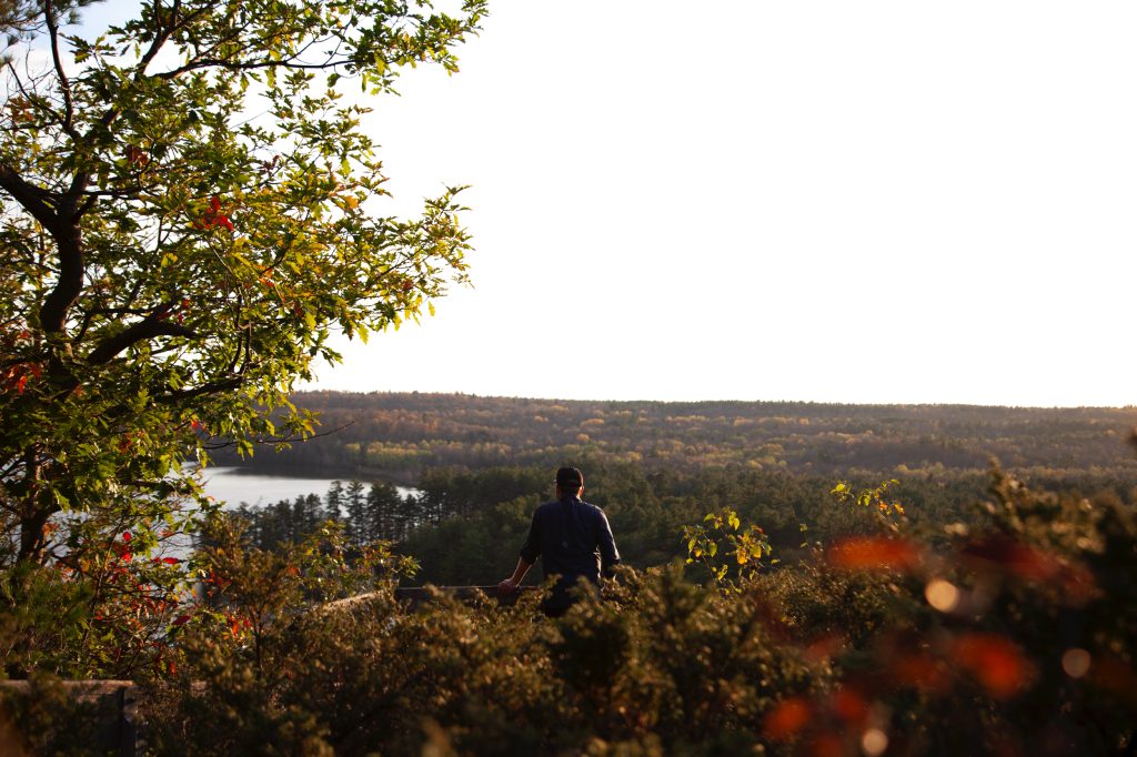 person looking over forest with fall colours