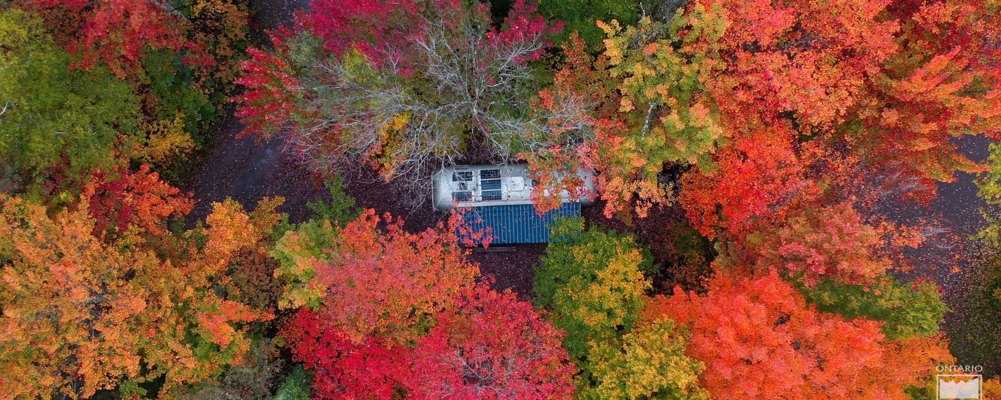 RV parked in campsite among the fall leaves