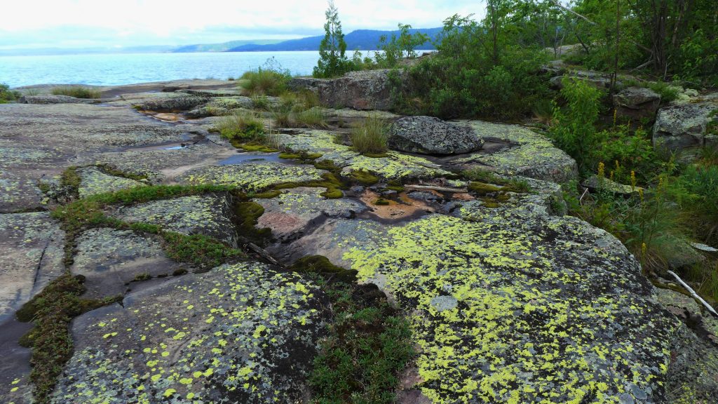 mossy rocks near forest