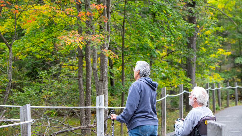 two people on trail looking out at fall colours amongst forest